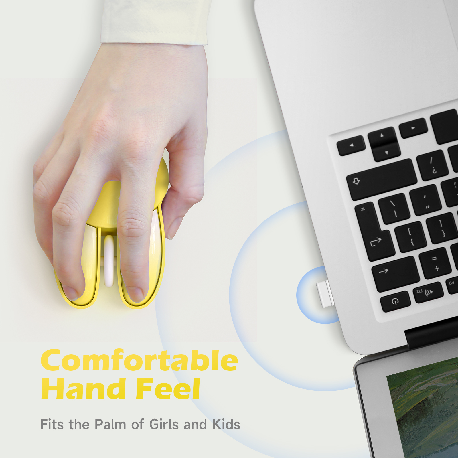 portable wireless mouse