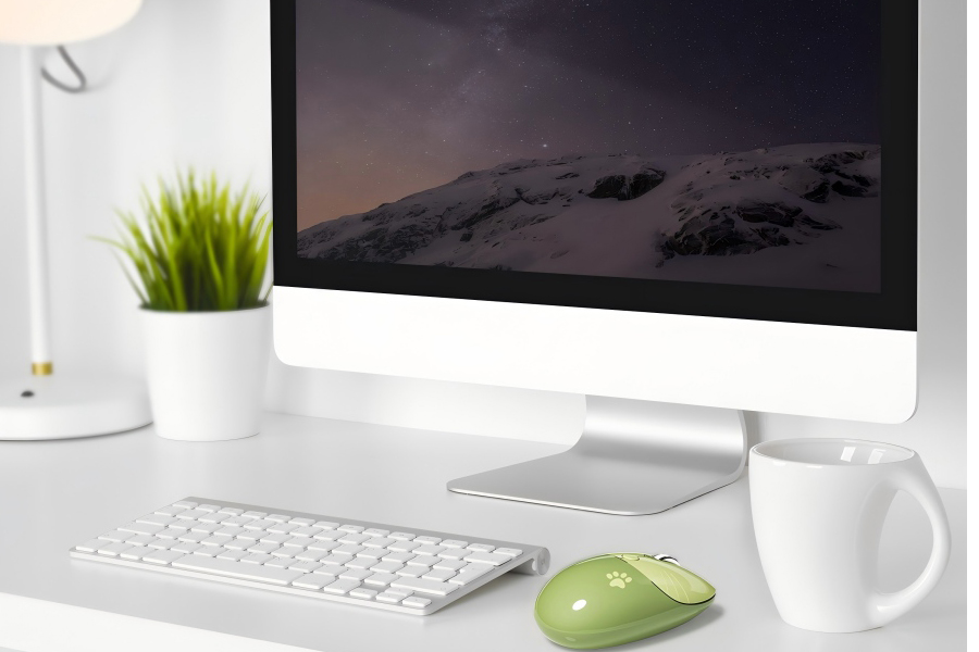 Bluetooth wireless mouse